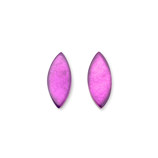 Rainbow Petal Shiny Stud Earrings