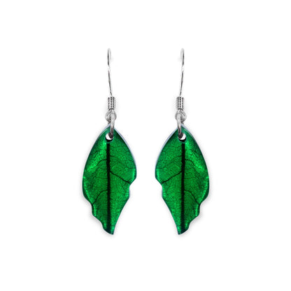 Aurora Skeletal Leaf Shiny Fish Hook Earrings | The Jewellery Stop