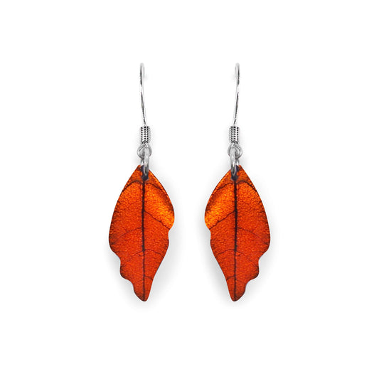Chilli Skeletal Leaf Shiny Fish Hook Earrings | The Jewellery Stop