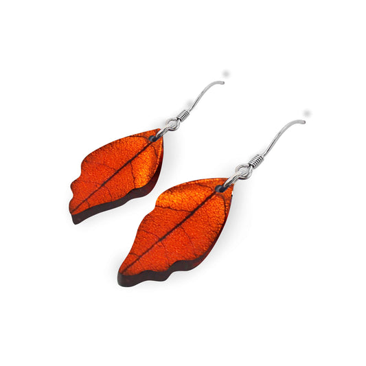 Chilli Skeletal Leaf Shiny Fish Hook Earrings | The Jewellery Stop