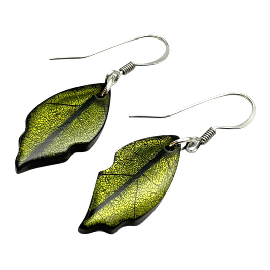Pistachio Skeletal Leaf Shiny Fish Hook Earrings