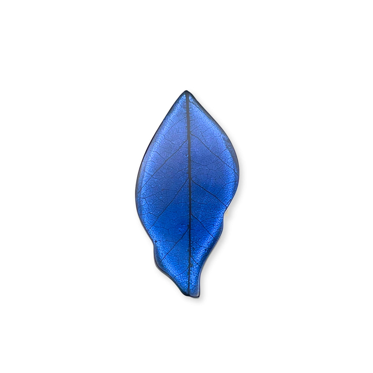 Atlantic Skeletal Leaf Shiny Brooch