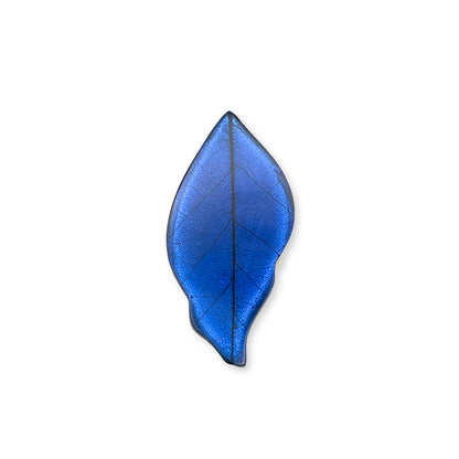 Atlantic Skeletal Leaf Shiny Brooch