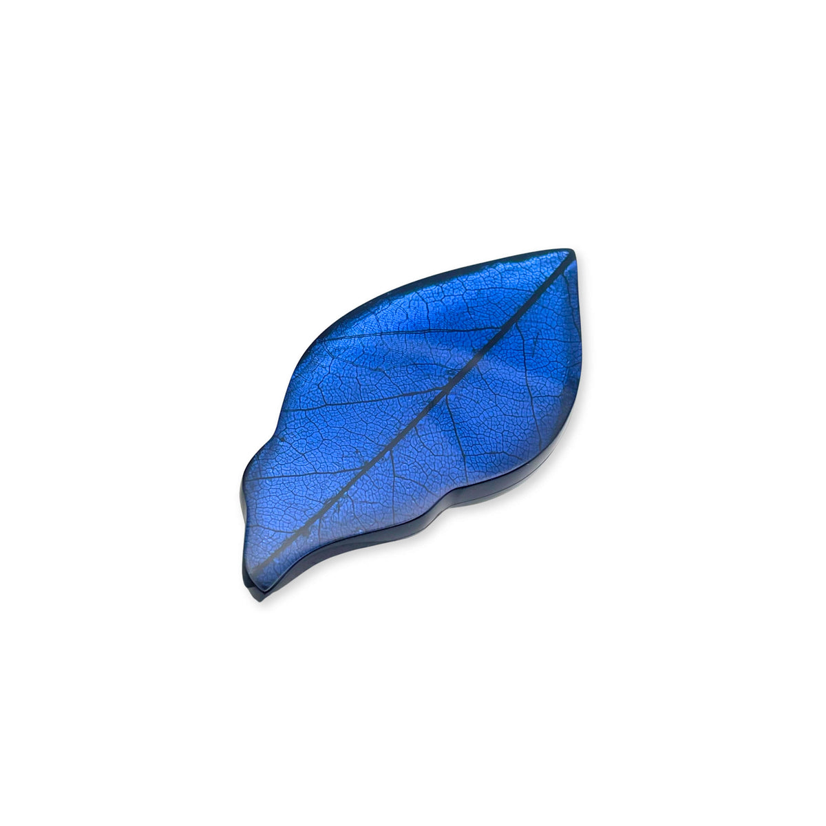 Atlantic Skeletal Leaf Shiny Brooch