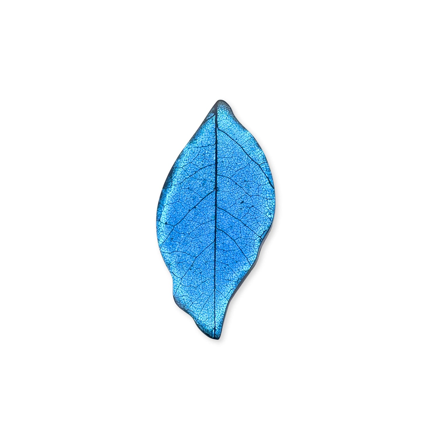 Blue Skeletal Leaf Shiny Brooch