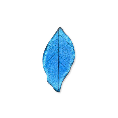 Blue Skeletal Leaf Shiny Brooch