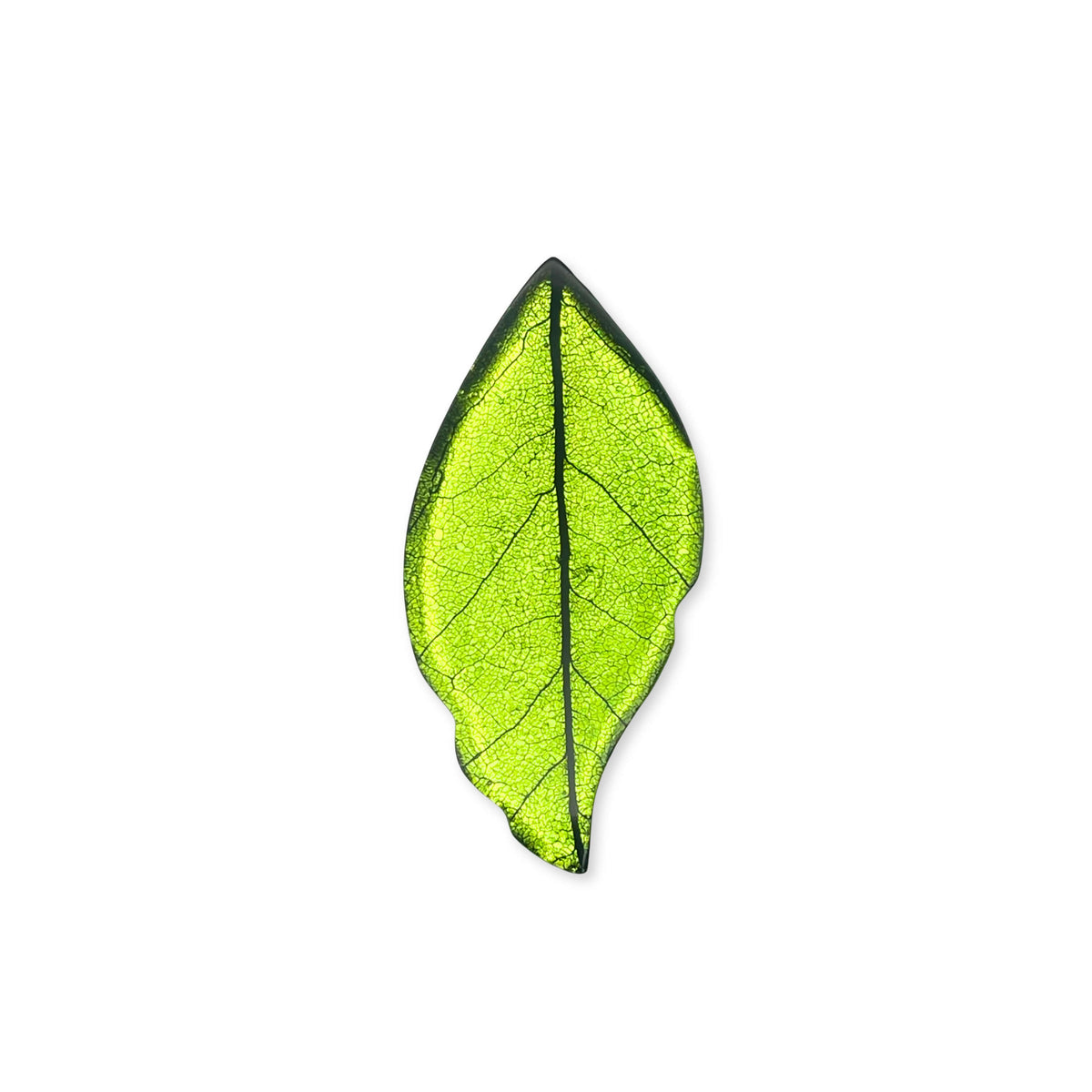 Neptune Skeletal Leaf Shiny Brooch