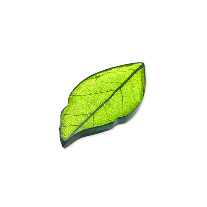 Neptune Skeletal Leaf Shiny Brooch