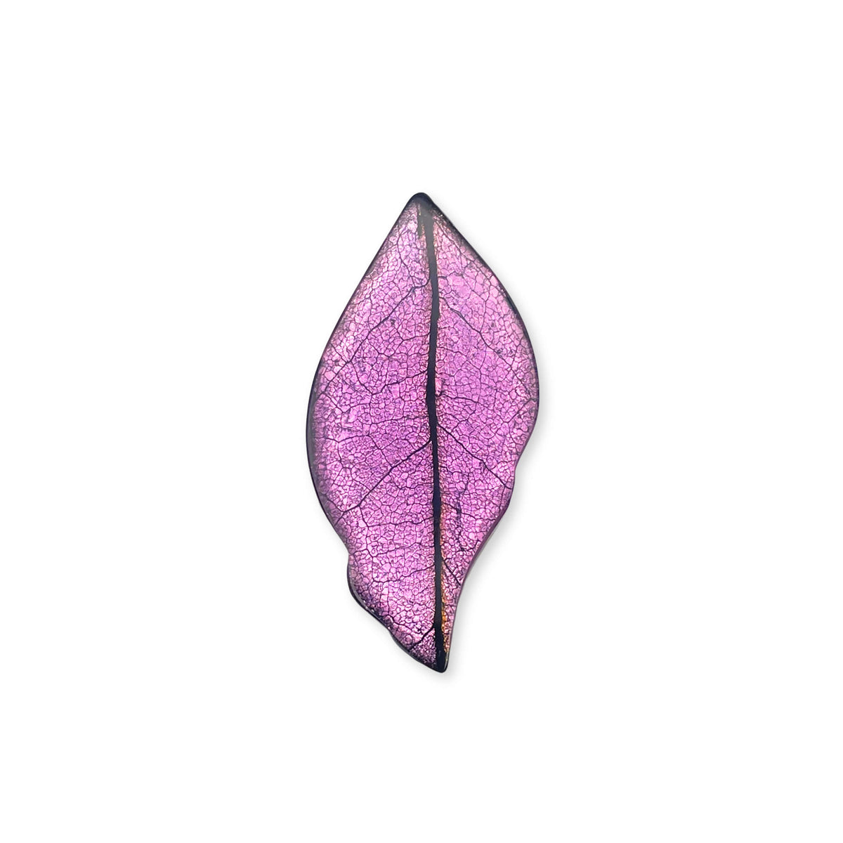 Rainbow Skeletal Leaf Shiny Brooch