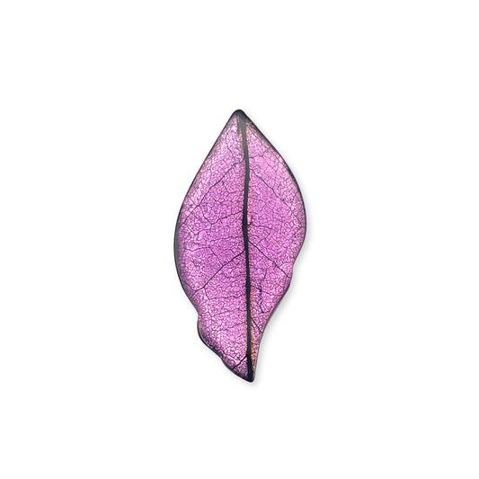Rainbow Skeletal Leaf Shiny Brooch