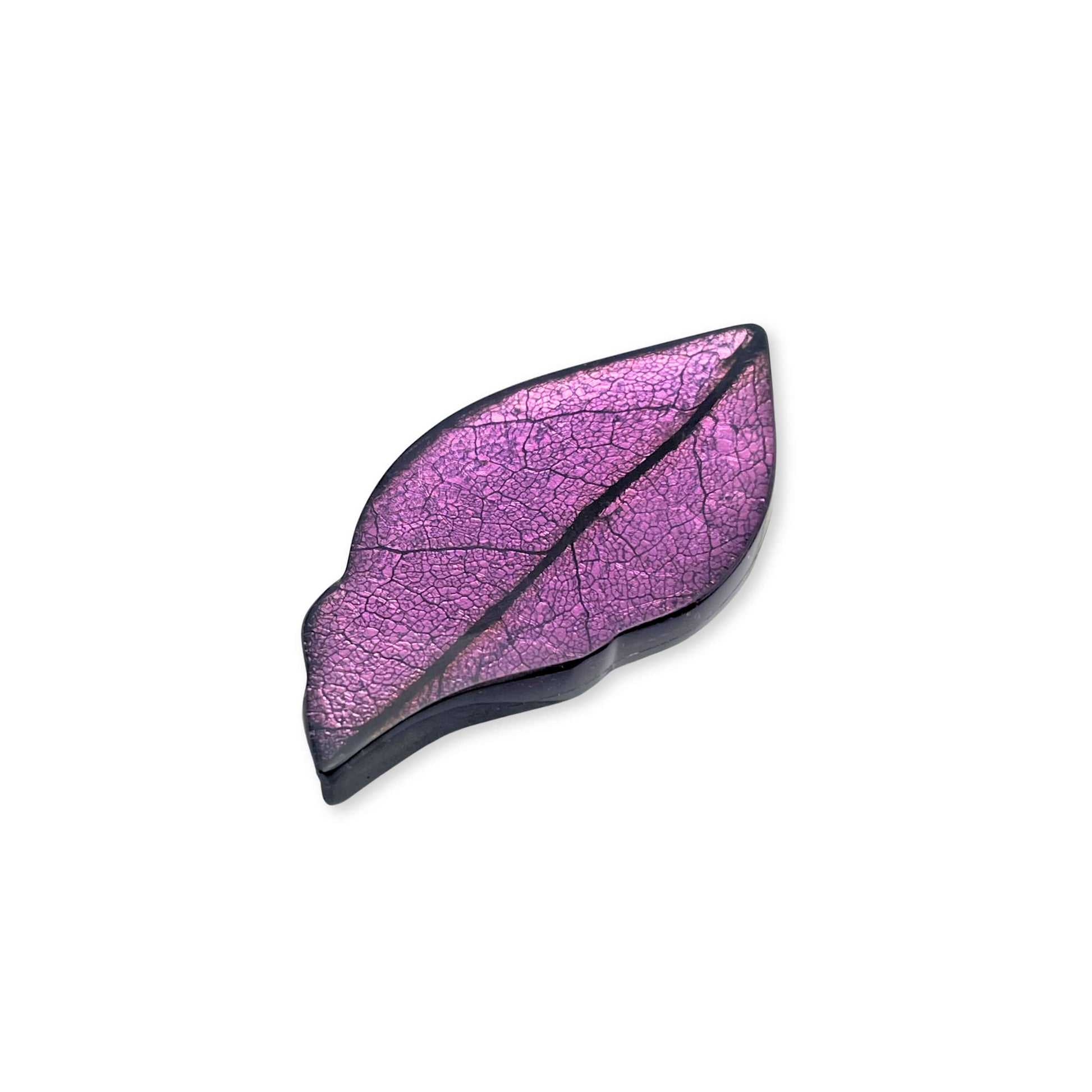 Rainbow Skeletal Leaf Shiny Brooch