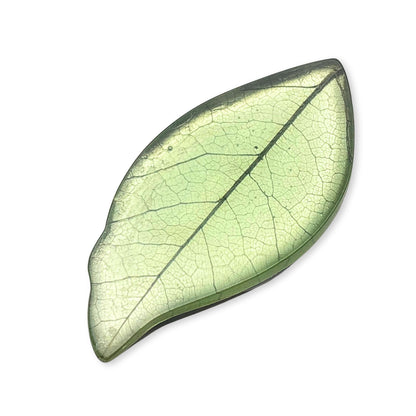 Sherbet Skeletal Leaf Shiny Brooch