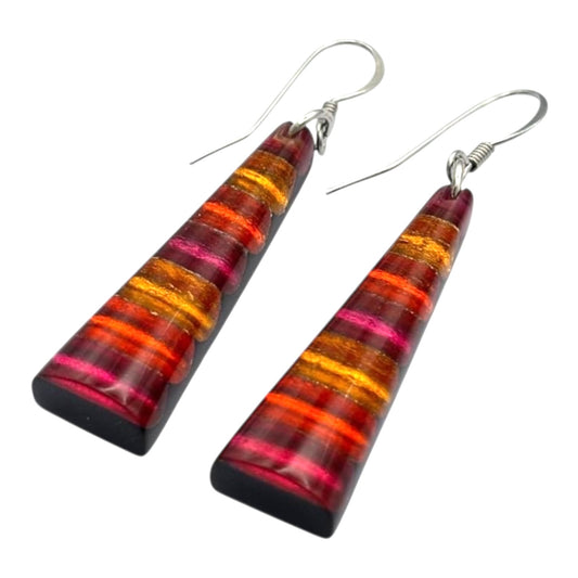 Tropical Triangle Stripes Shiny Fish Hook Earrings