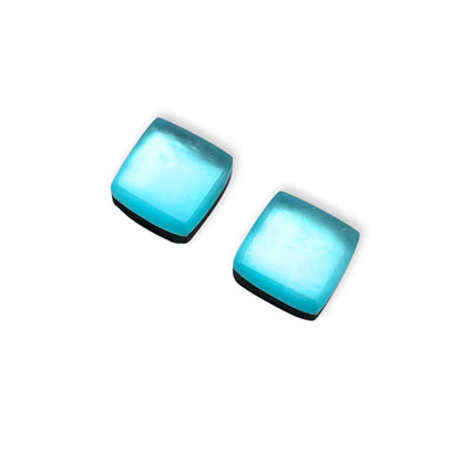 Bluebell Square Buttons Matte Stud Earrings