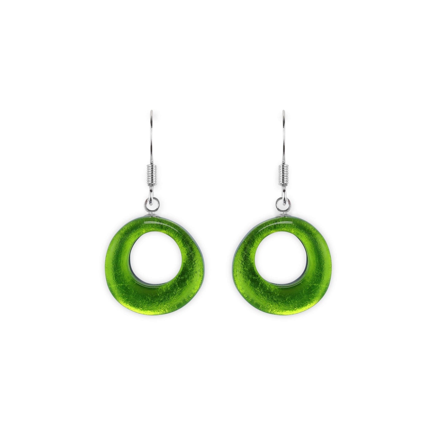 Citrus Hollow Circles Shiny Fish Hook Earrings | The Jewellery Stop