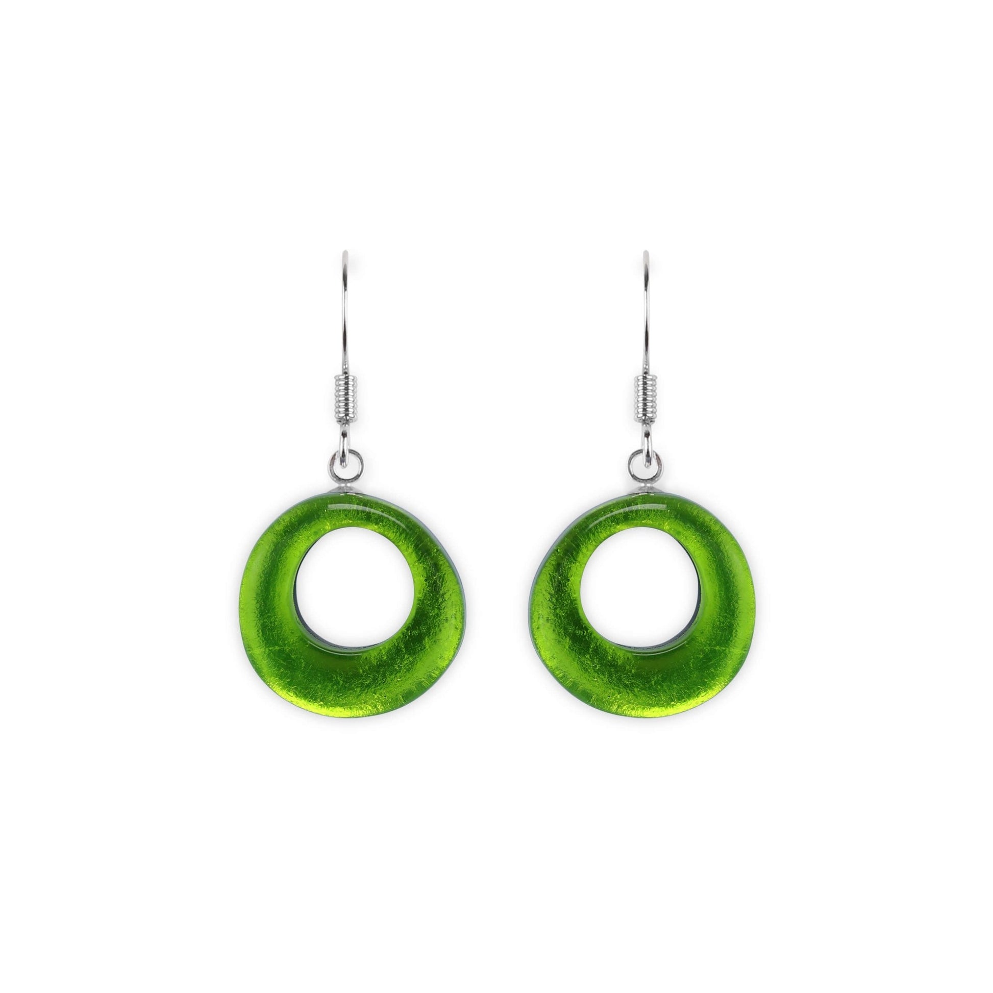 Citrus Hollow Circles Shiny Fish Hook Earrings | The Jewellery Stop