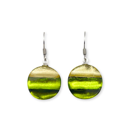 Citrus Geometric Circles Shiny Fish Hook Earrings