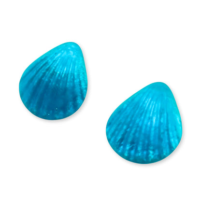 Turquoise Scallop Matte Clip Earrings