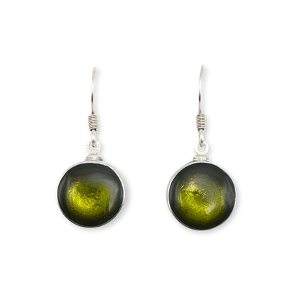 Pistachio Aluminium Cabouchon Shiny Fish Hook Earrings