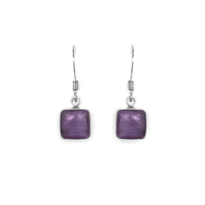 Nessie Aluminium Squares Shiny Small Fish Hook Earrings | The Jewellery Stop