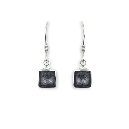 Black Aluminium Squares Shiny Small Fish Hook Earrings