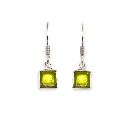 Citrus Aluminium Squares Shiny Small Fish Hook Earrings | The Jewellery Stop