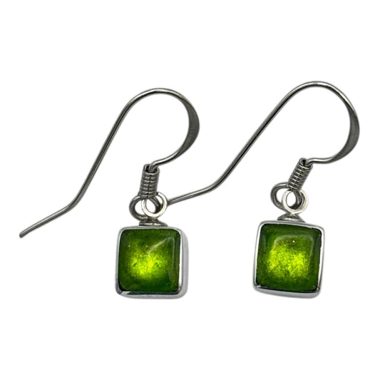 Zest Aluminium Squares Shiny Small Fish Hook Earrings | The Jewellery Stop
