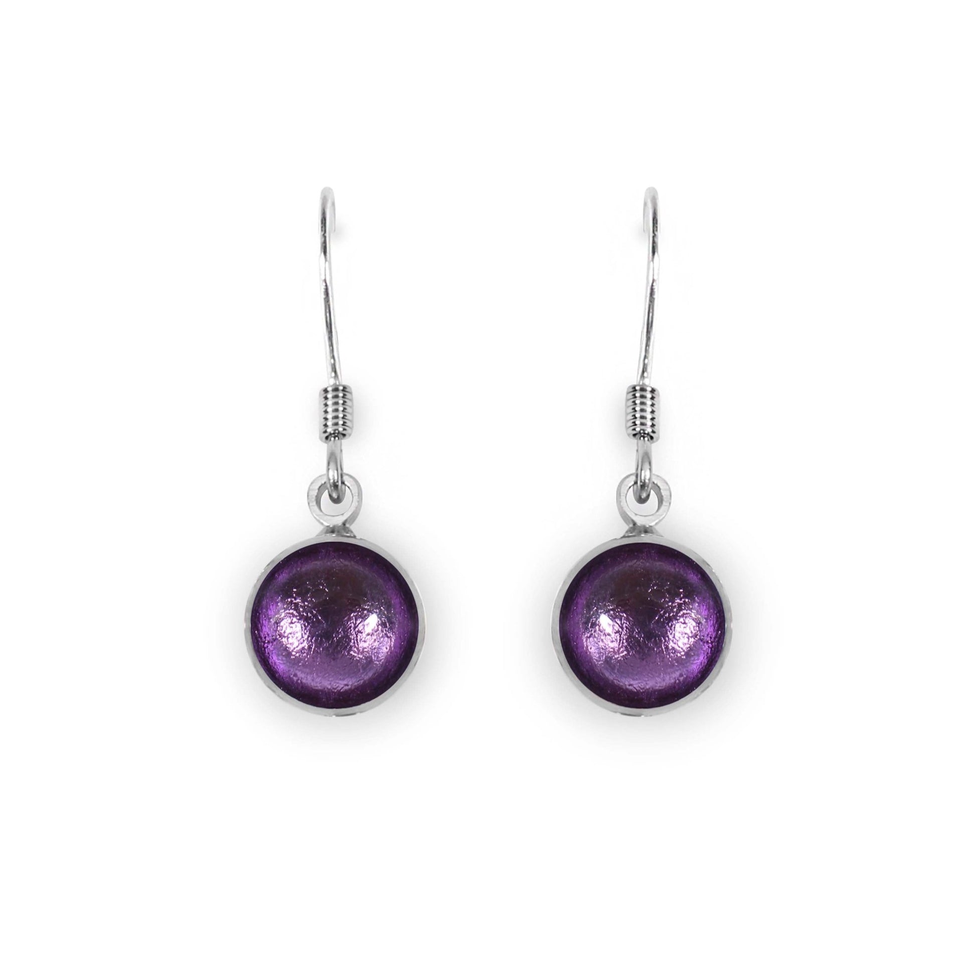 Nessie Aluminium Circles Shiny Fish Hook Earrings | The Jewellery Stop