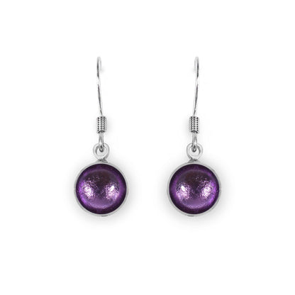 Nessie Aluminium Circles Shiny Fish Hook Earrings | The Jewellery Stop
