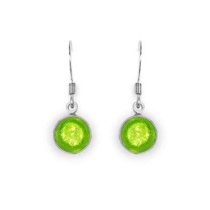Zest Aluminium Circles Shiny Fish Hook Earrings | The Jewellery Stop