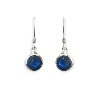 Atlantic Aluminium Circles Shiny Fish Hook Earrings