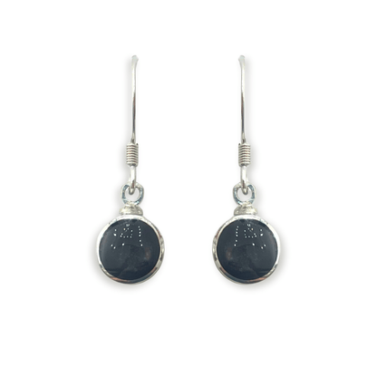 Black Aluminium Circles Shiny Fish Hook Earrings