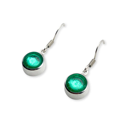 Crystal Aluminium Circles Shiny Fish Hook Earrings