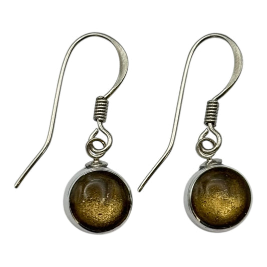 Gold Aluminium Circles Shiny Fish Hook Earrings | The Jewellery Stop
