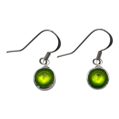 Lime Aluminium Circles Shiny Fish Hook Earrings | The Jewellery Stop