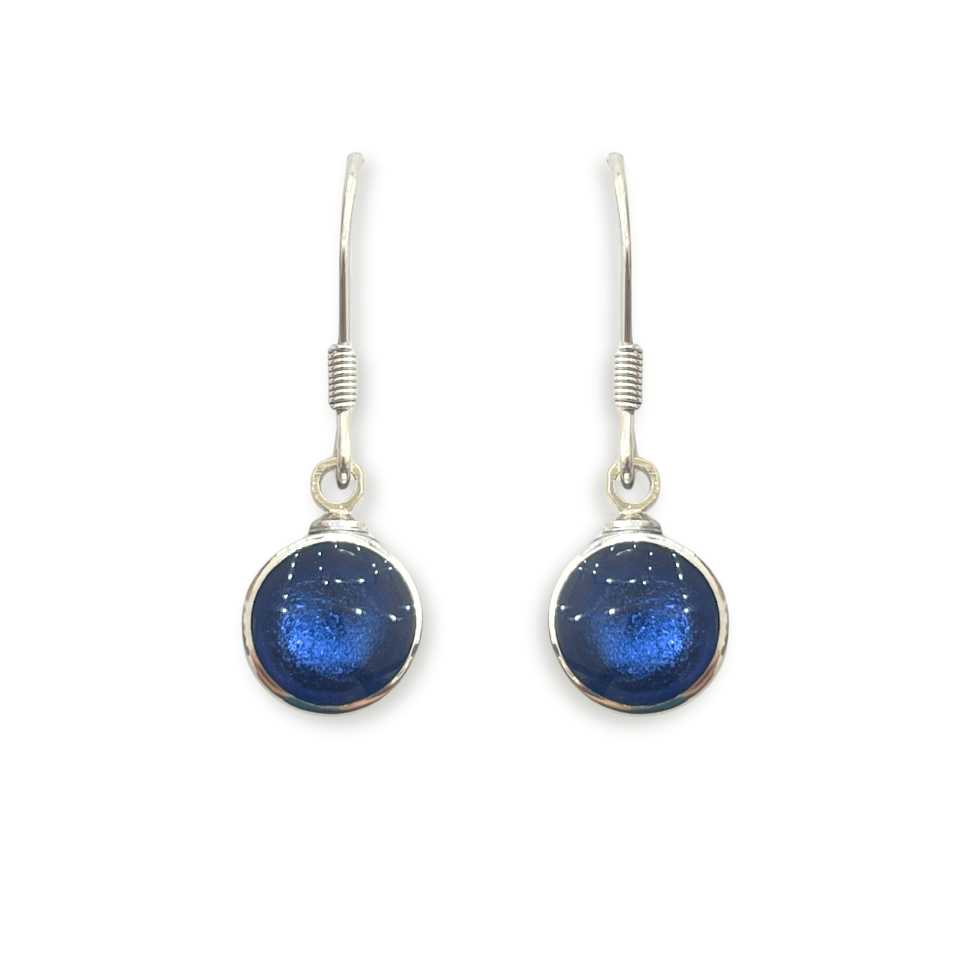 Ocean Aluminium Circles Shiny Fish Hook Earrings