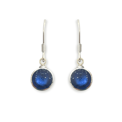 Ocean Aluminium Circles Shiny Fish Hook Earrings