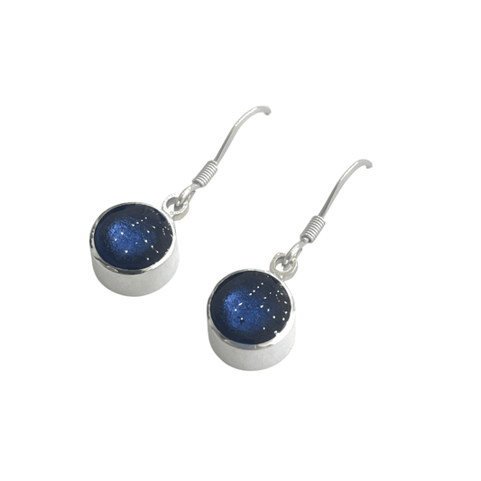 Ocean Aluminium Circles Shiny Fish Hook Earrings