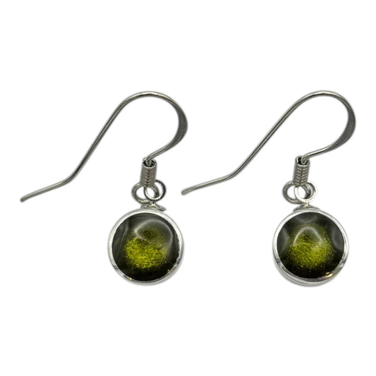 Pistachio Aluminium Circles Shiny Fish Hook Earrings | The Jewellery Stop