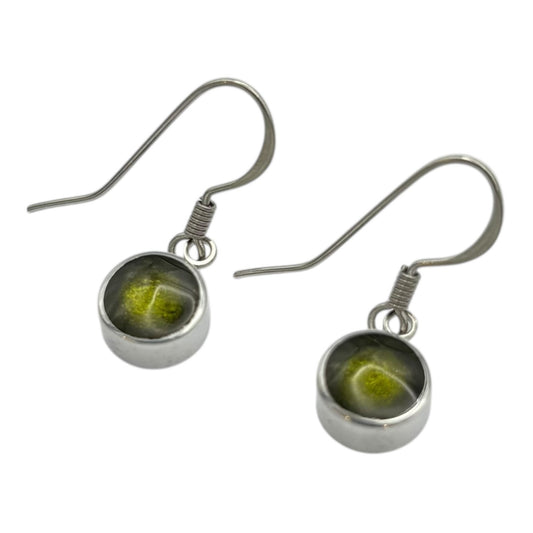 Pistachio Aluminium Circles Shiny Fish Hook Earrings | The Jewellery Stop