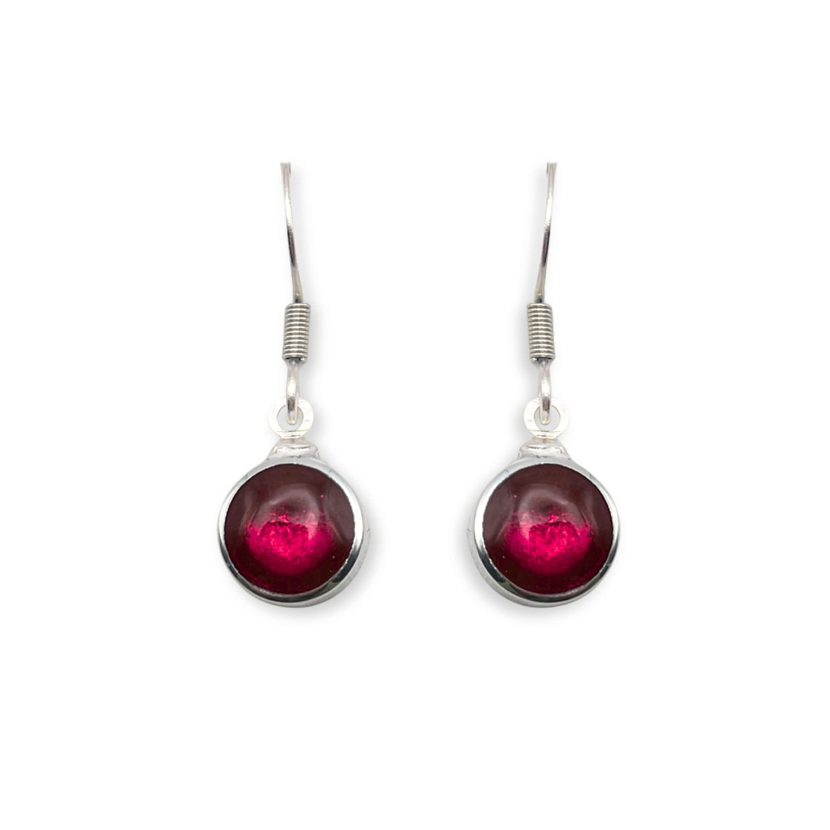 Tropical Aluminium Circles Shiny Fish Hook Earrings