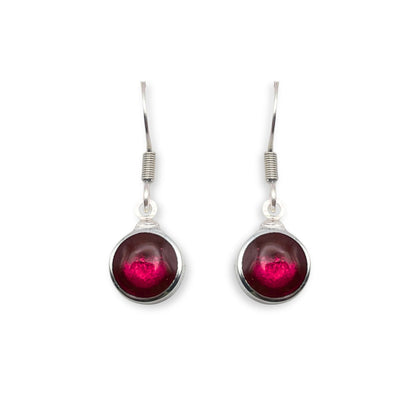 Tropical Aluminium Circles Shiny Fish Hook Earrings