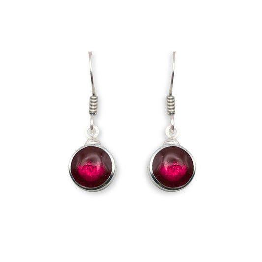 Tropical Aluminium Circles Shiny Fish Hook Earrings