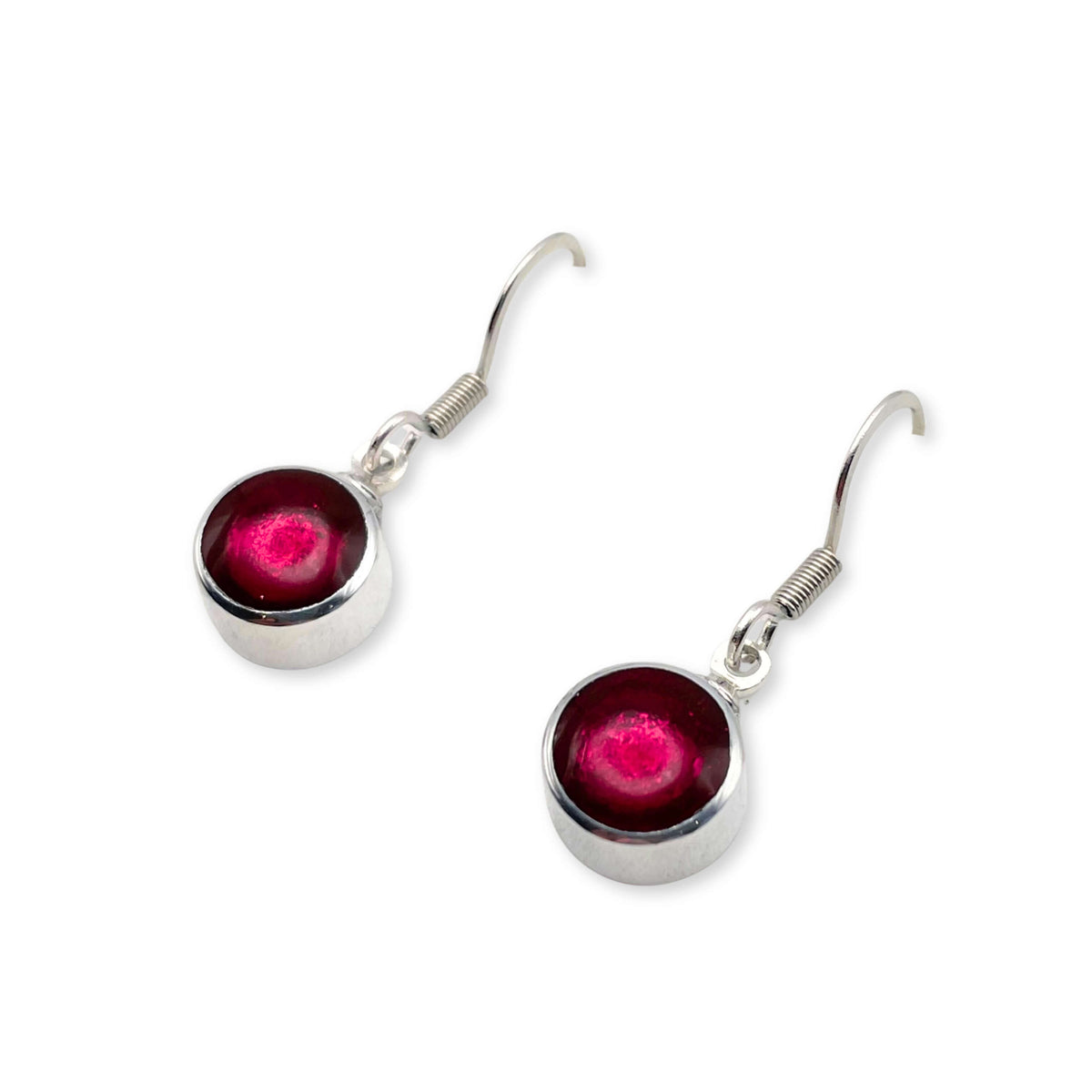 Tropical Aluminium Circles Shiny Fish Hook Earrings
