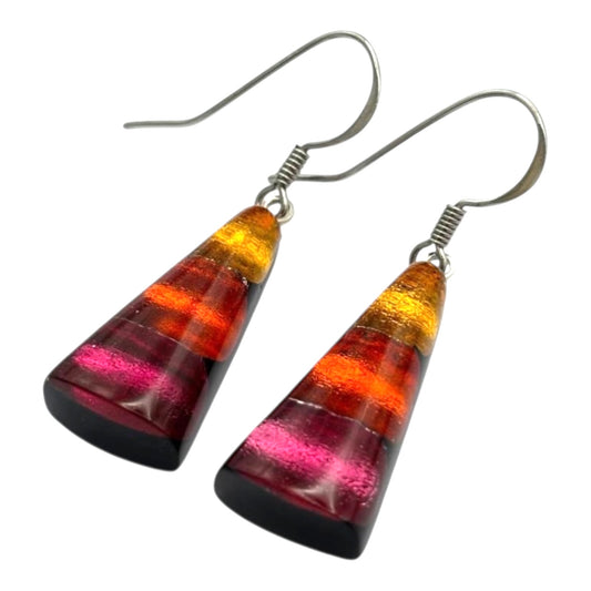 Tropical Deco Triangle Shiny Fish Hook Earrings