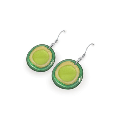 Kiwi Resin Pebble Shiny Fish Hook Earrings | The Jewellery Stop