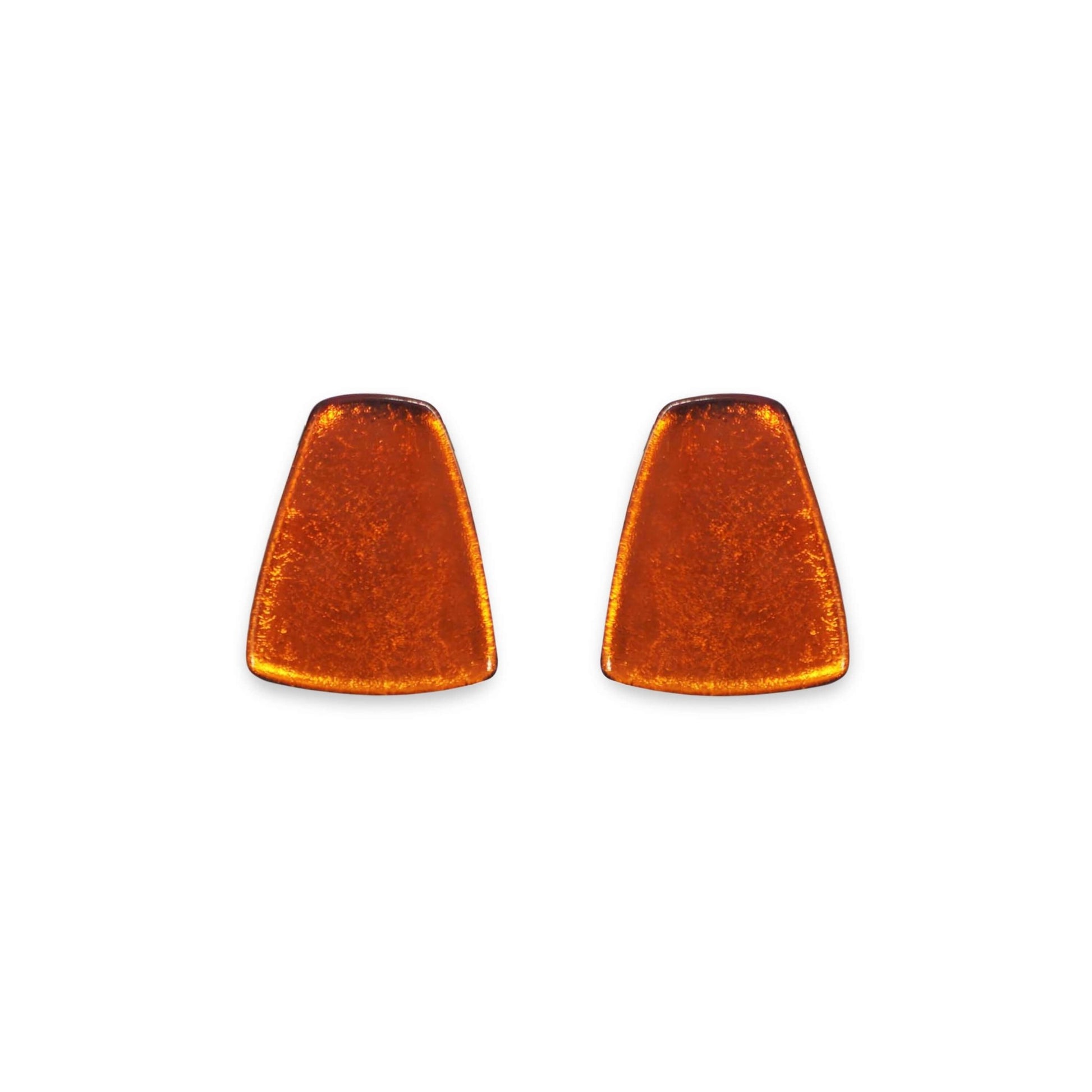 Amber Empress Silverleaf Shiny Stud Earrings | The Jewellery Stop