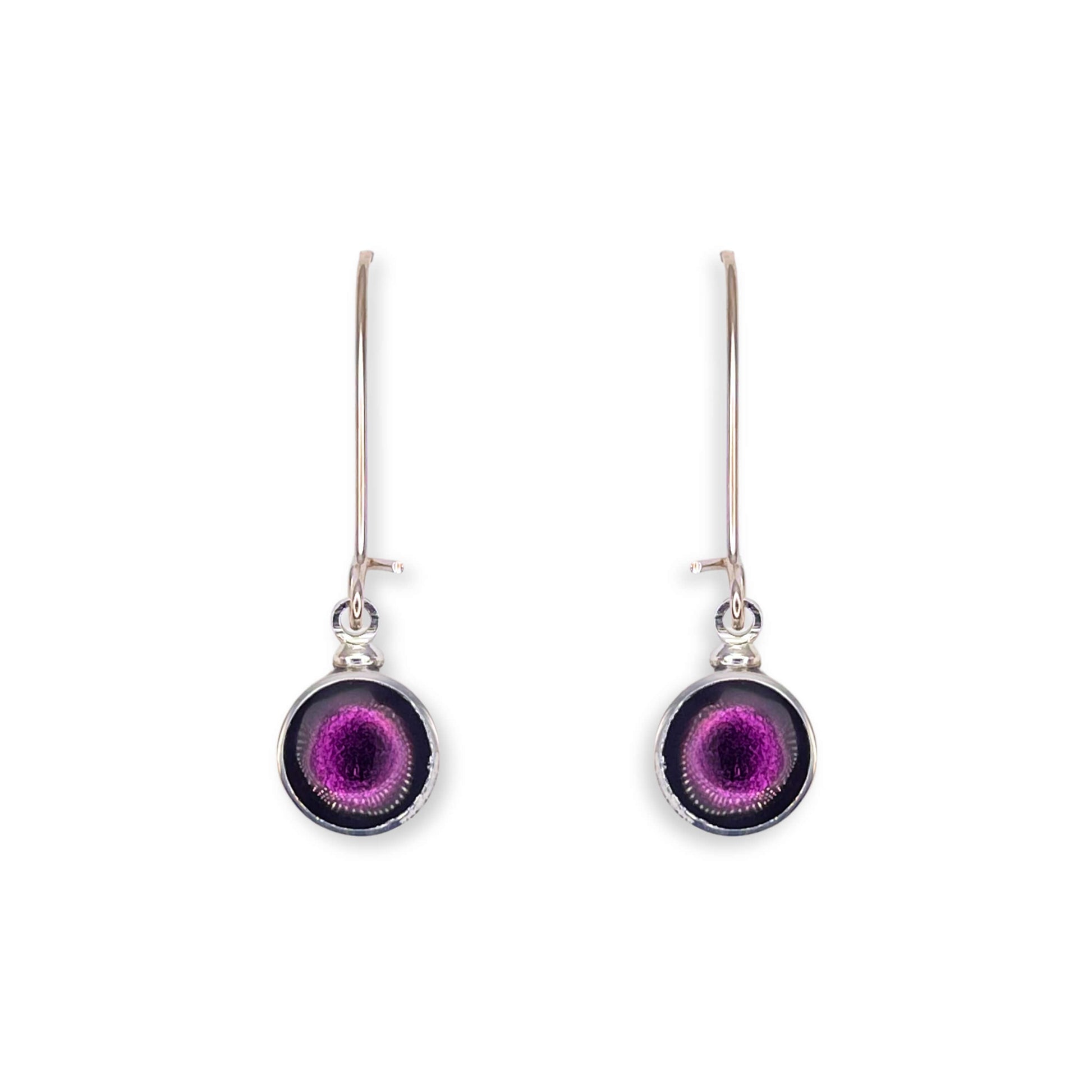 Rainbow Aluminium Circles Shiny Long Hook Earrings