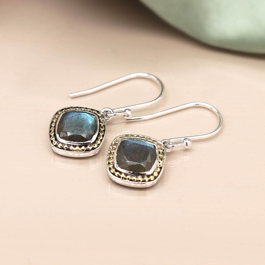 Sterling Silver Faceted Labradorite Fish Hook Earrings | The Jewellery Stop