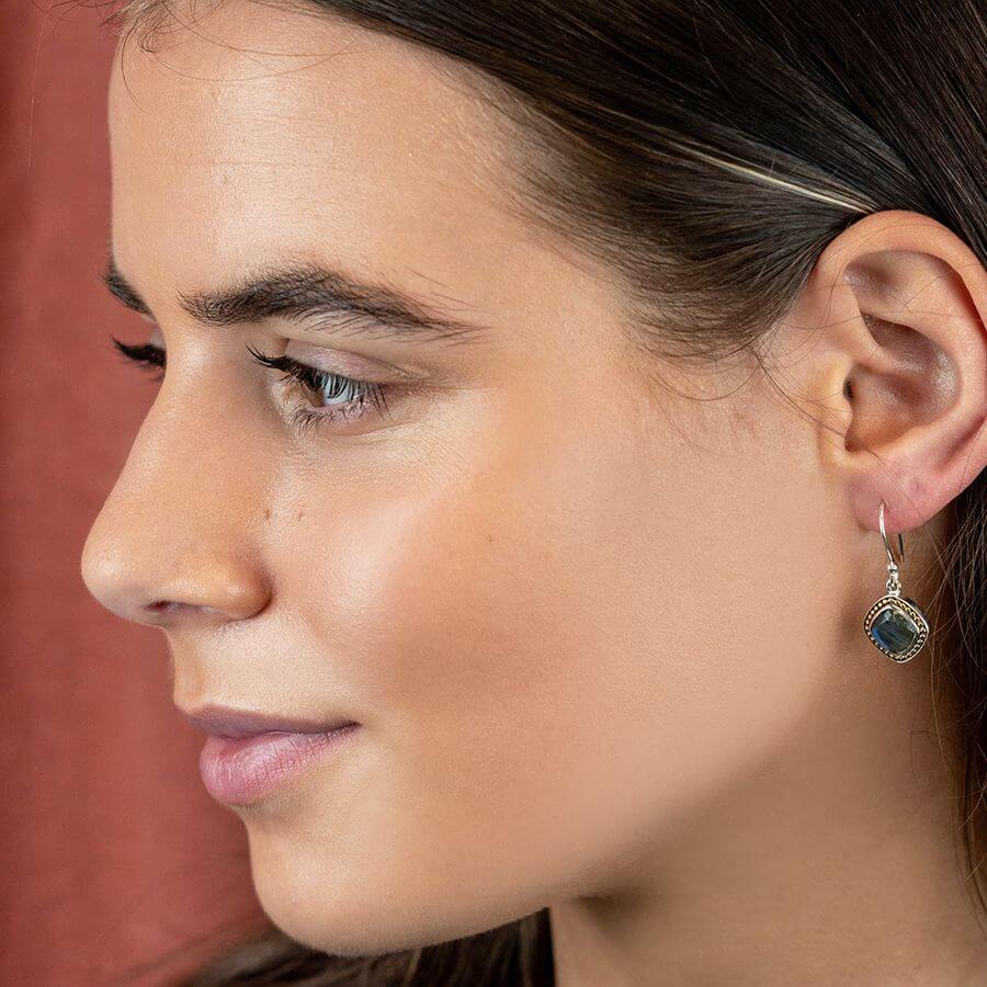 Sterling Silver Faceted Labradorite Fish Hook Earrings | The Jewellery Stop